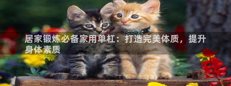 z6尊龙凯时旗舰厅:居家锻炼必备家用单杠:打造完美体质,提升