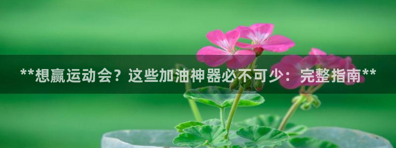 尊龙官方:**想赢运动会?这些加油神器必不可少:完整指南**