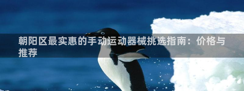 尊龙凯时有假么:朝阳区最实惠的手动运动器械挑选指南:价格与