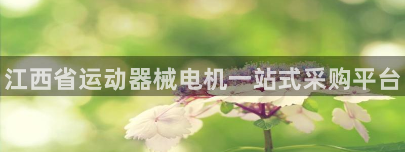 尊龙凯时是赌博嘛:江西省运动器械电机一站式采购平台