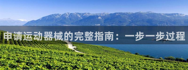 尊龙app怎么样:申请运动器械的完整指南:一步一步过程